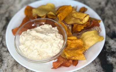 Onion Dip Recipe with EZ Gel